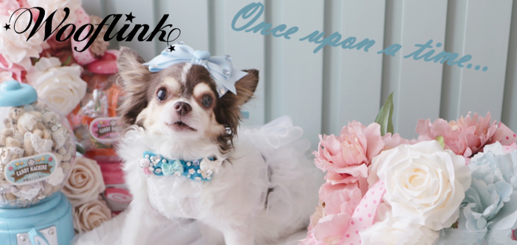 TIARA PETS JAPAN