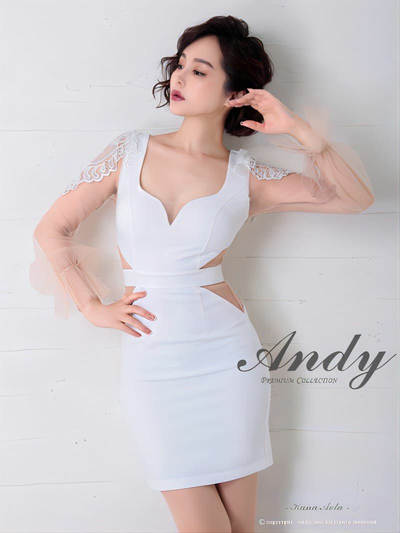 【ANDY】ワンカラーチュールスリーブウエストシアー長袖くびれタイトミニドレス 取り寄せ商品】Andy アンディ ワンカラー チュール スリーブ