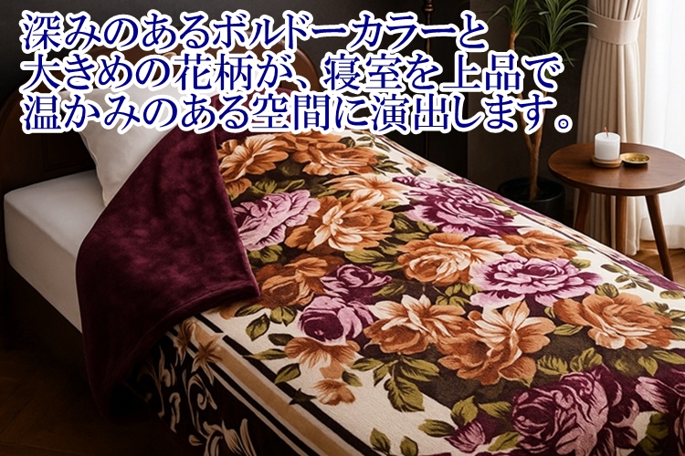 リードカキノ 掛け布団カバー シングル 2枚組 洗える あったか 毛布