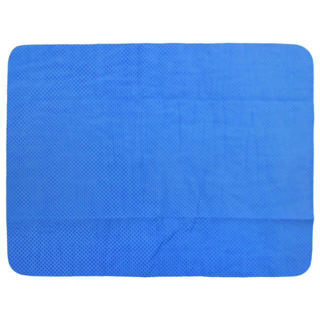 セームタオル 小 スイミングタオル スピード speedo スイムタオル 水泳 競泳 スクール水着 SD96T02 | speedo | 02