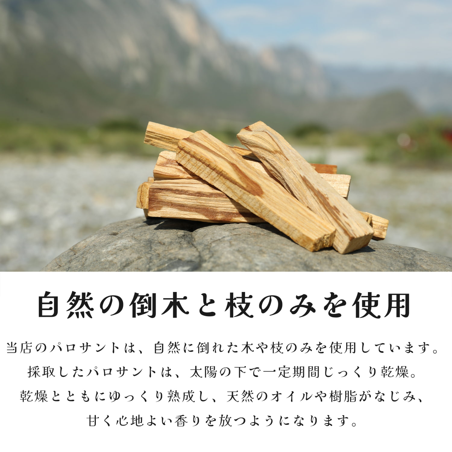 【わんわん】ペルー産 無農薬 パロサントスティック 1キロ セット パロサント 香木 無農薬 (約100gパック×2個セット 合計約200g