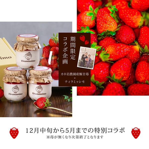 期間限定 フレッシュまりひめ苺のティラミス 4個セット 苺 ティラミス 日本一なめらか ティラミッシモ 和歌山産 まりひめ苺 カネ岩農園産極甘苺 |  | 02