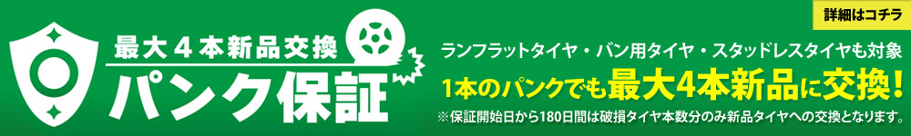 15周年記念イベントが-ブリッド スーパーシートレール XLタイプ 左側