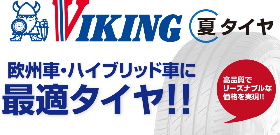 サマータイヤ 195/65R15 91H 15インチ VIKING バイキング ProTech