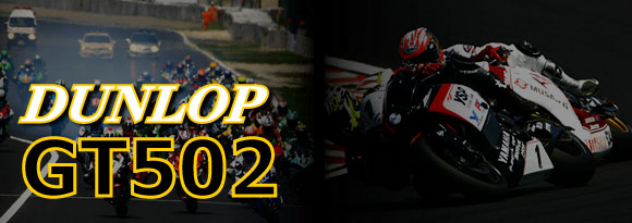 DUNLOP（ダンロップ） ハーレー用 GT502 150/70R18 M/C 70V TL リア