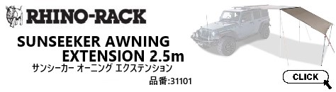 31101