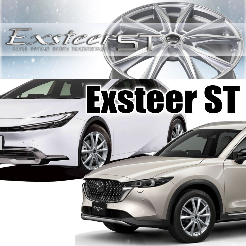 JIRO205／70R16 DUNLOP（ダンロップ） 205/65R16 95H SYNCHRO WEATHER 夏冬兼用 オール