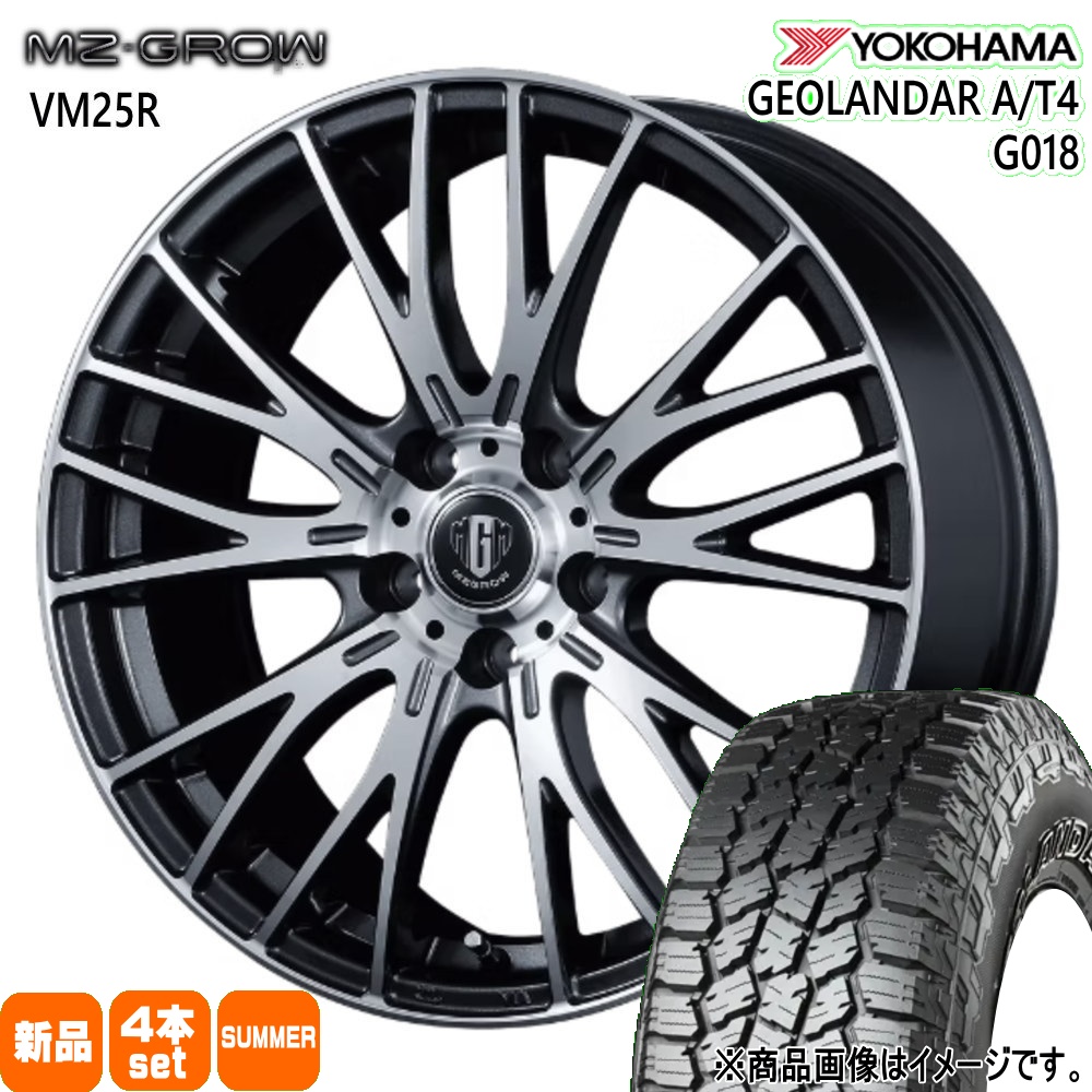 vm25rp18704851g0182256018
