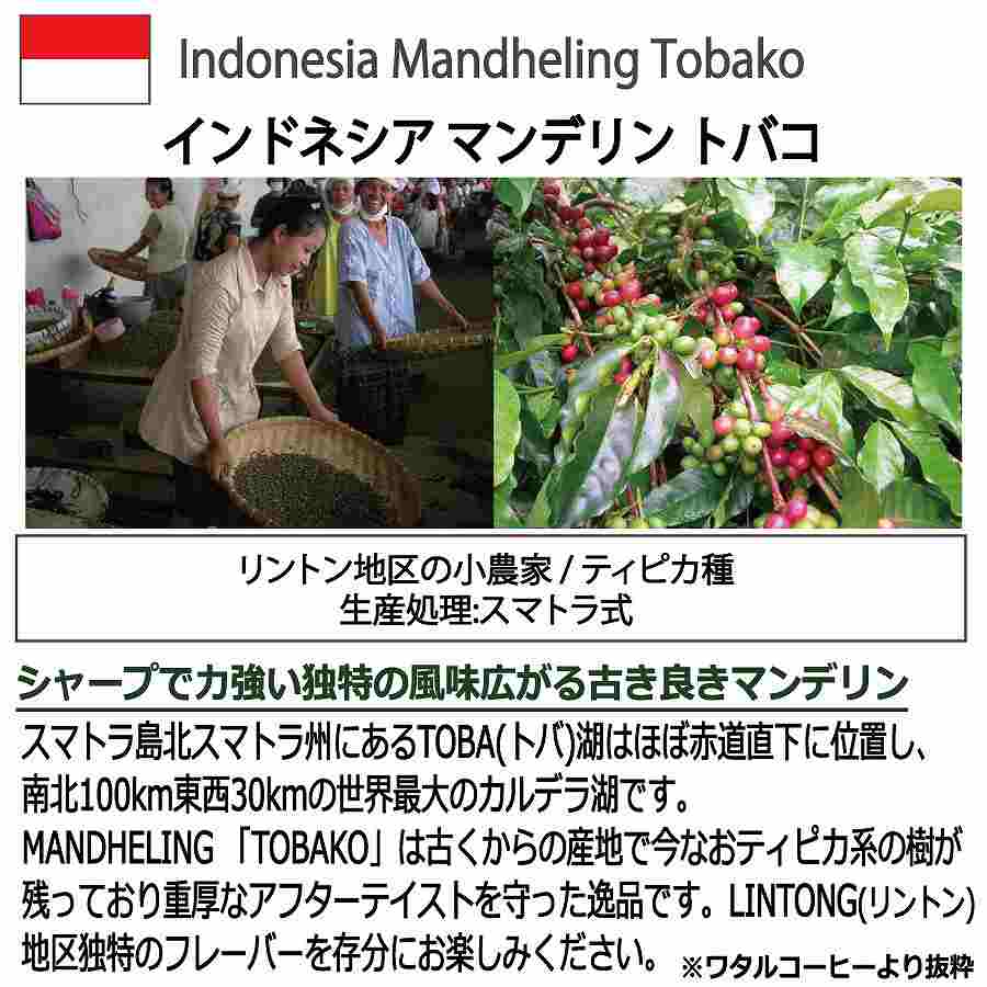 お徳用 レギュラーコーヒー豆 マンデリン トバコ インドネシア 500g