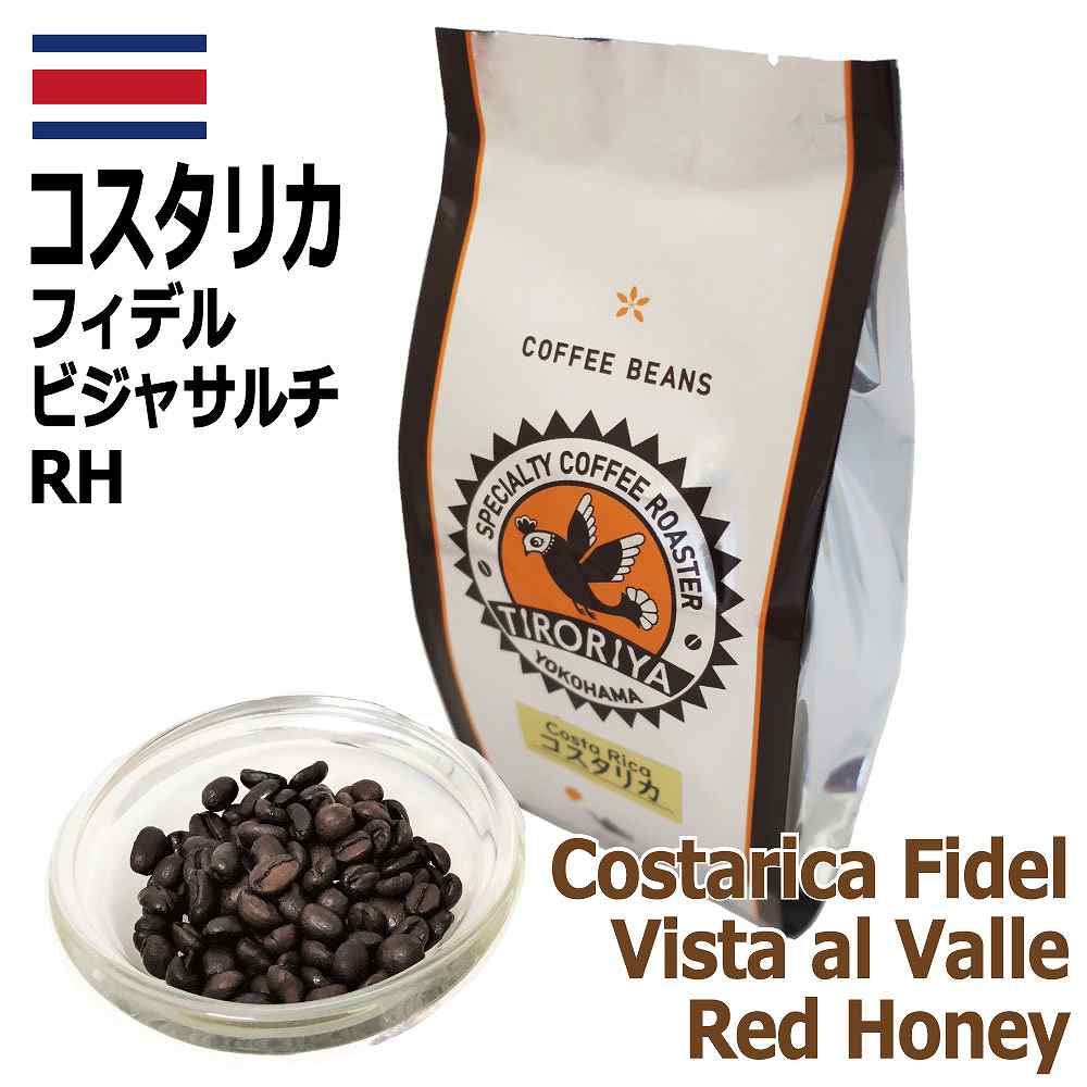 レギュラーコーヒー 豆 コスタリカ フィデル ビスタ・アル・バジェ