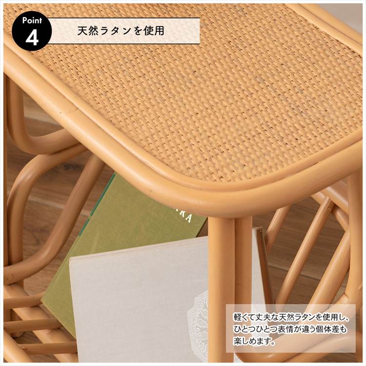 D2上 北欧レトロ メタルフレーム ラタンサイドテーブル マガジンラック