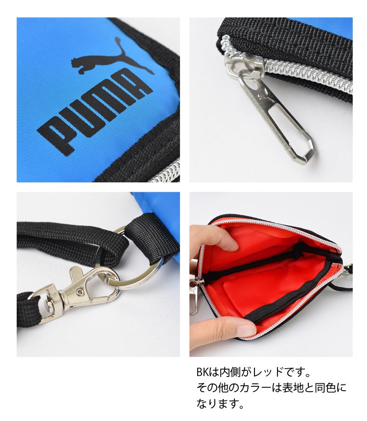 kite-pm243_4.jpg