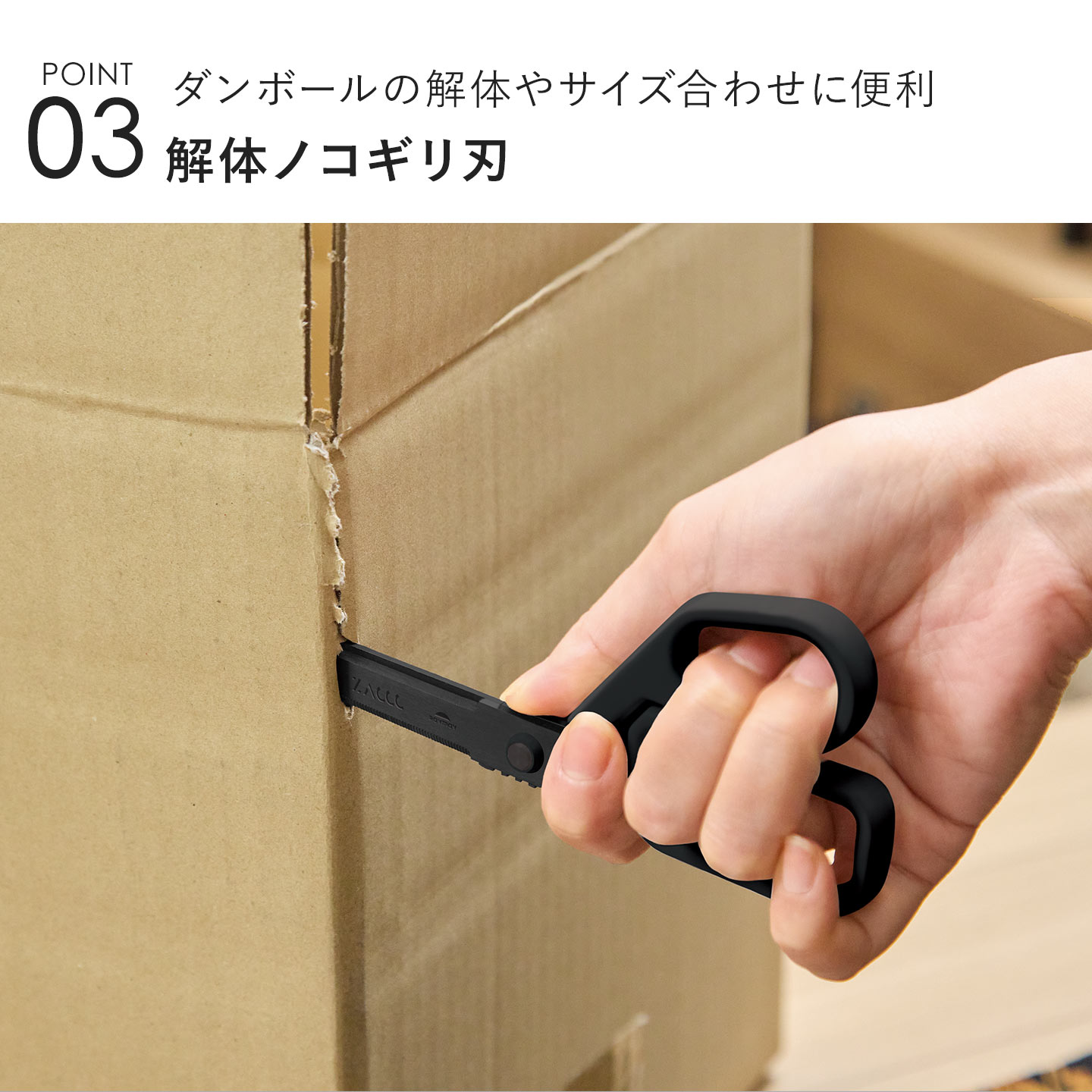 レイメイ藤井 ハサミ ZACCC ザック チタンコート 錆びない ステンレス