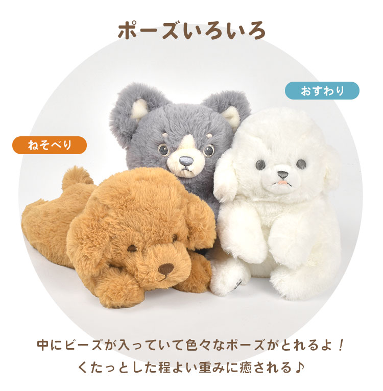 お座りテディ ＊茶々丸＊　チビチビベア付き ヨドバシ.com - セキグチ 812721 あそんで！テディベア ぬいぐるみ