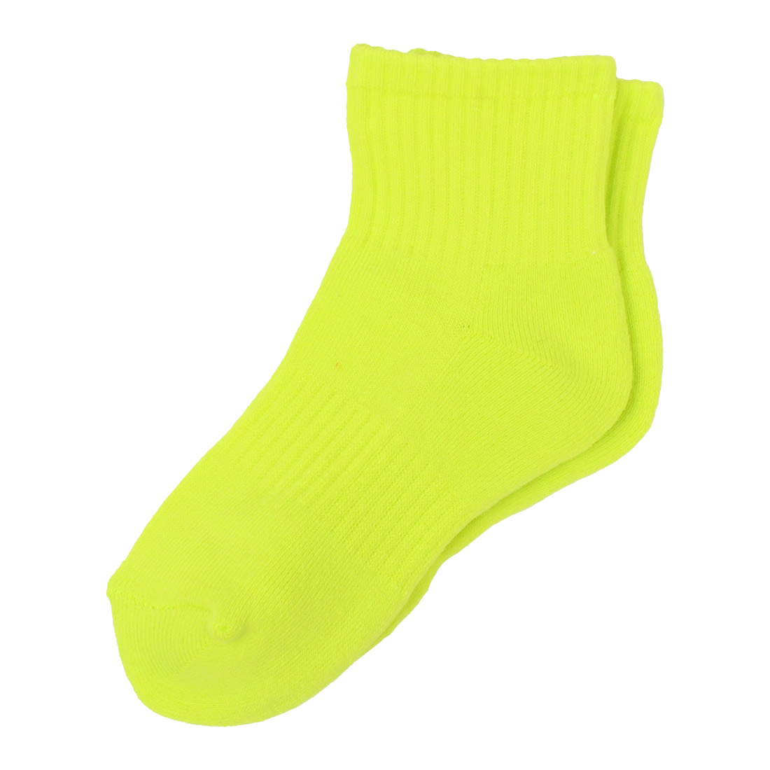 ［希少・２色］黄金ソテツ［A-36］ 希少・2色］黄金ソテツ［A-36］