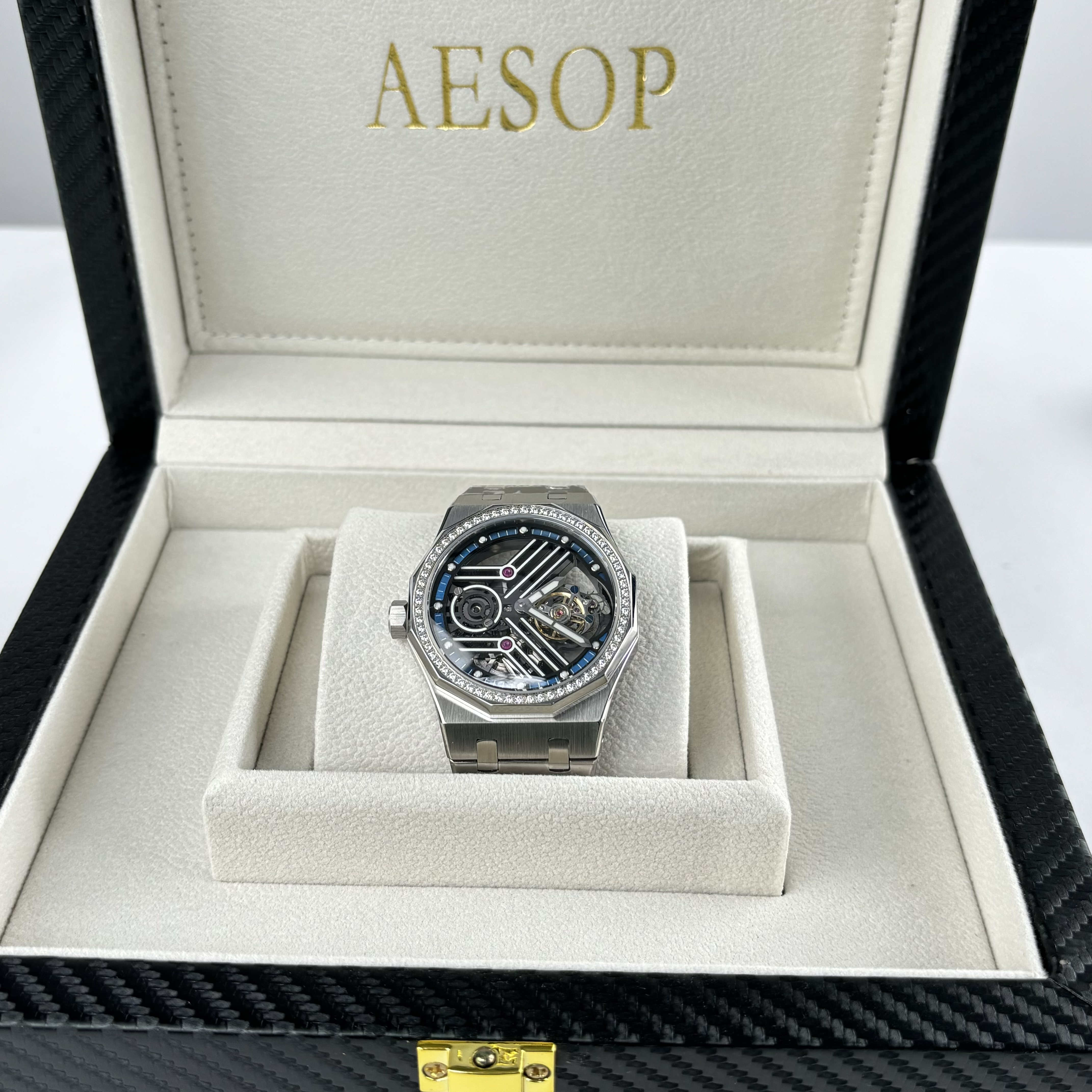 メンズ 機械式時計 腕時計 ブランド  AESOP トゥールビヨン 正規品 プレゼントケース付き 本...