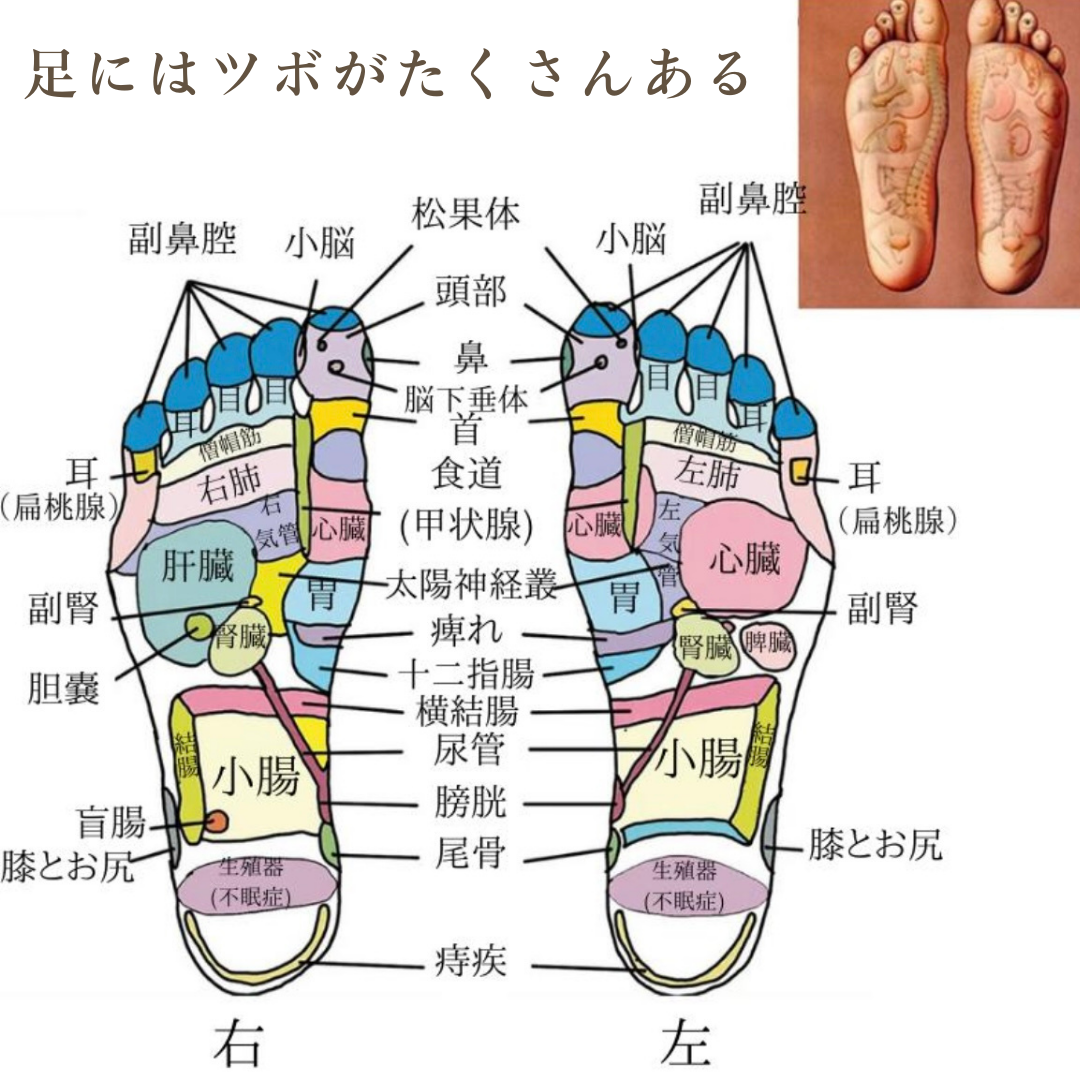 Amazon.co.jp: 【正規品】シャクティ 指圧マット・枕 究極セット