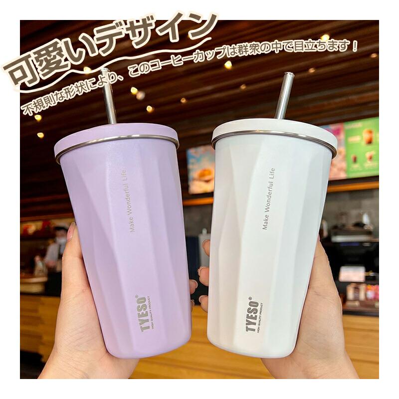 ストロー付きタンブラー ストロー タンブラー 600ml ステンレス 大容量