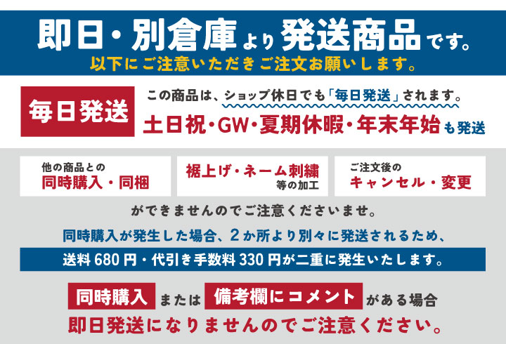 BURTLE（バートル） (2026年30V在庫有・即納) バッテリーセット
