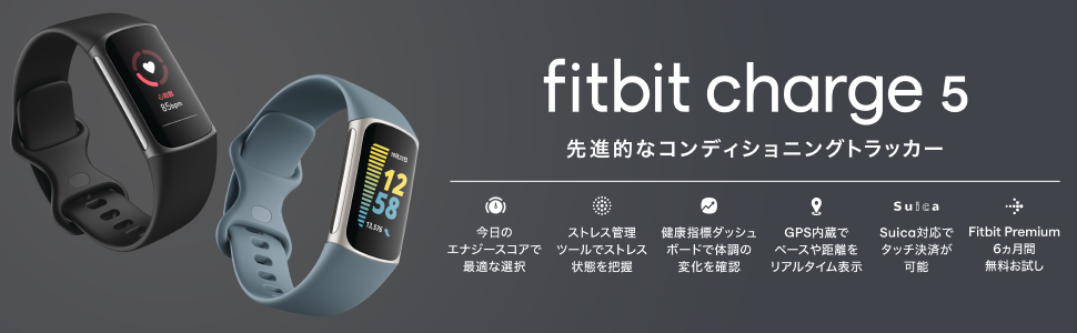 一部予約販売中】 Fitbit Charge5 ブラック 本体 フィットビット fitbit スマートウォッチ 活動量計 フィットネストラッカー  心拍数 公式 日本正規品