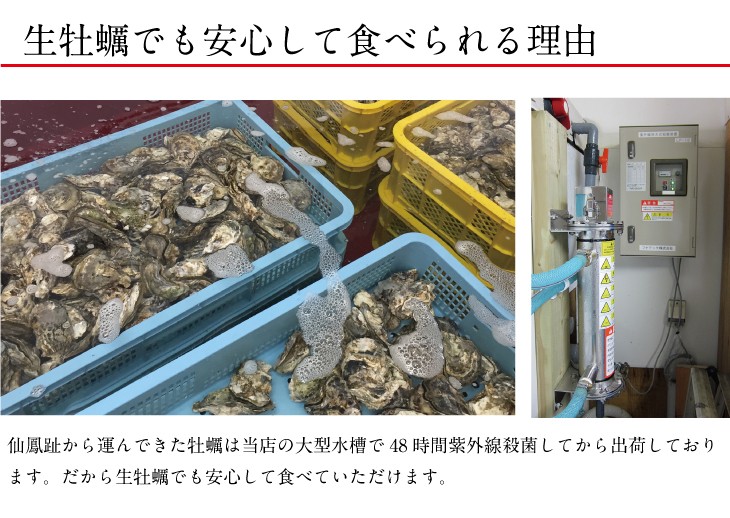 牡蠣さん専用 倉橋島海産 広島産大粒牡蠣むき身3Lサイズ 1kg HTSN-002 1袋