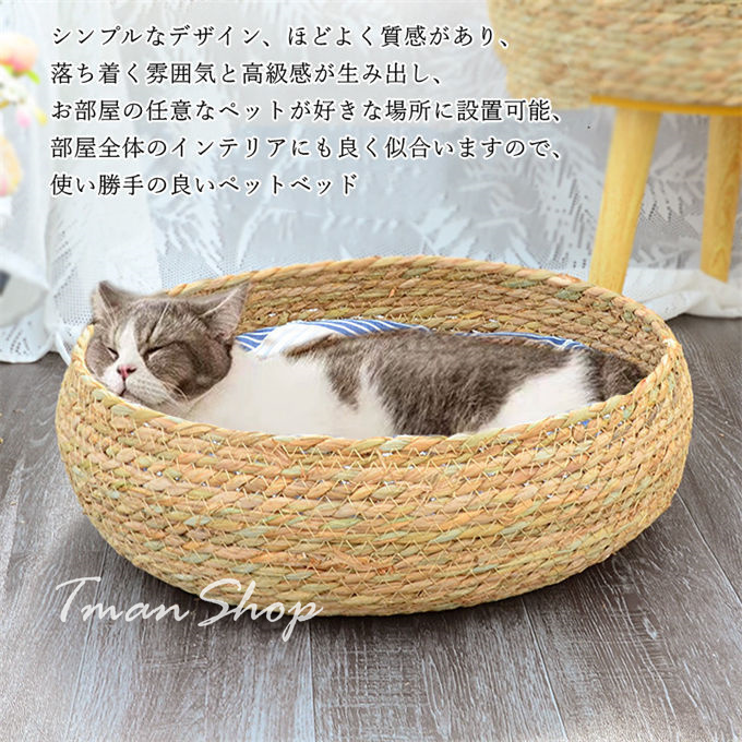 pet242_2.jpg