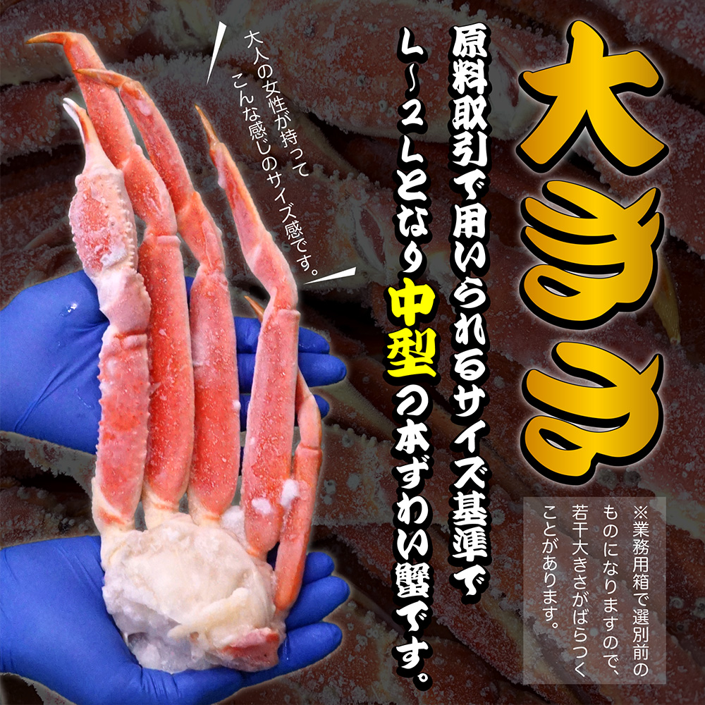 ズワイガニ 5kg かに カニ 蟹 本ずわいがに 業務用 ボイル 蟹脚