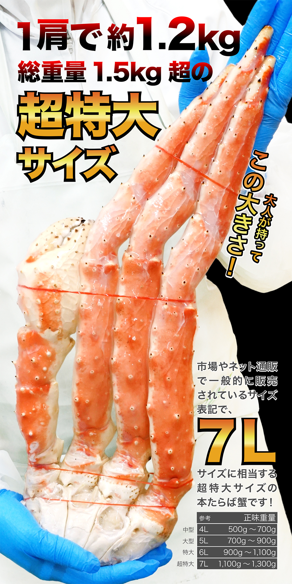 超特大タラバガニ クーポン有り 1肩で1.2kg 総重量1.5kg超 7Lに相当