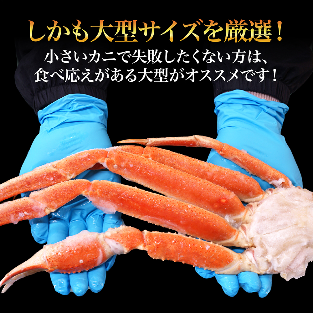 ズワイガニ 2.5kg 氷を除く重量が2.5kgです 総重量3kg超 船凍品で鮮度
