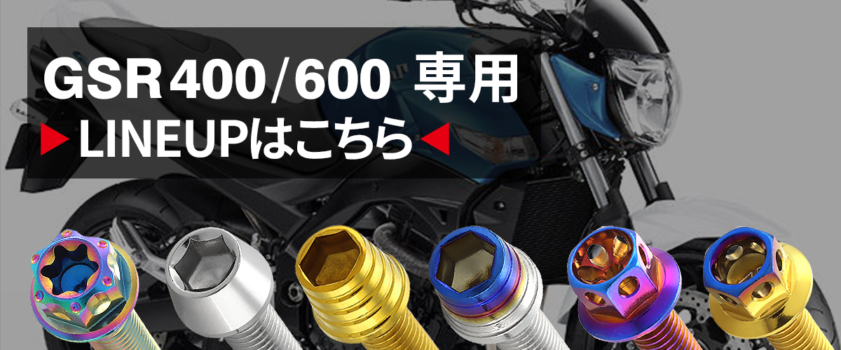 GSR400/600 エンジンカバー クランクケース ボルト 30本セット