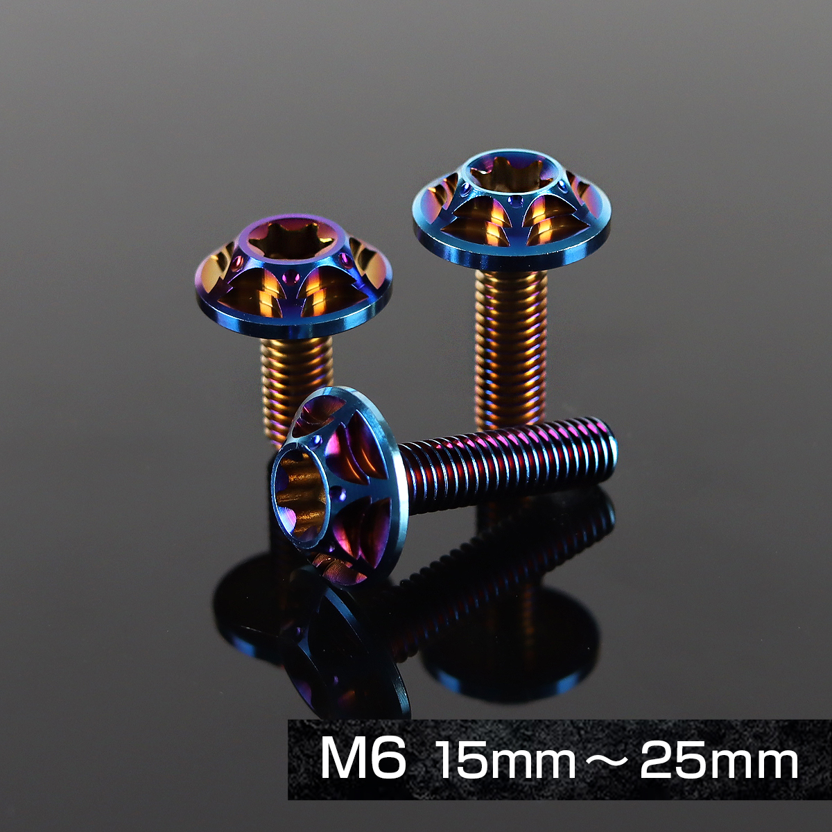 TECHーMASTER（テックマスター） チタンボルト M6×15mm P1.0 トルクス