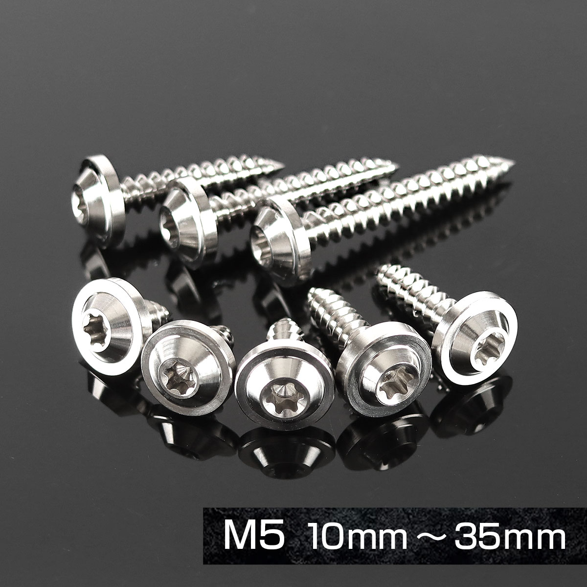 チタンネジ M5×20mm タッピングビス トルクス穴付き レインボー
