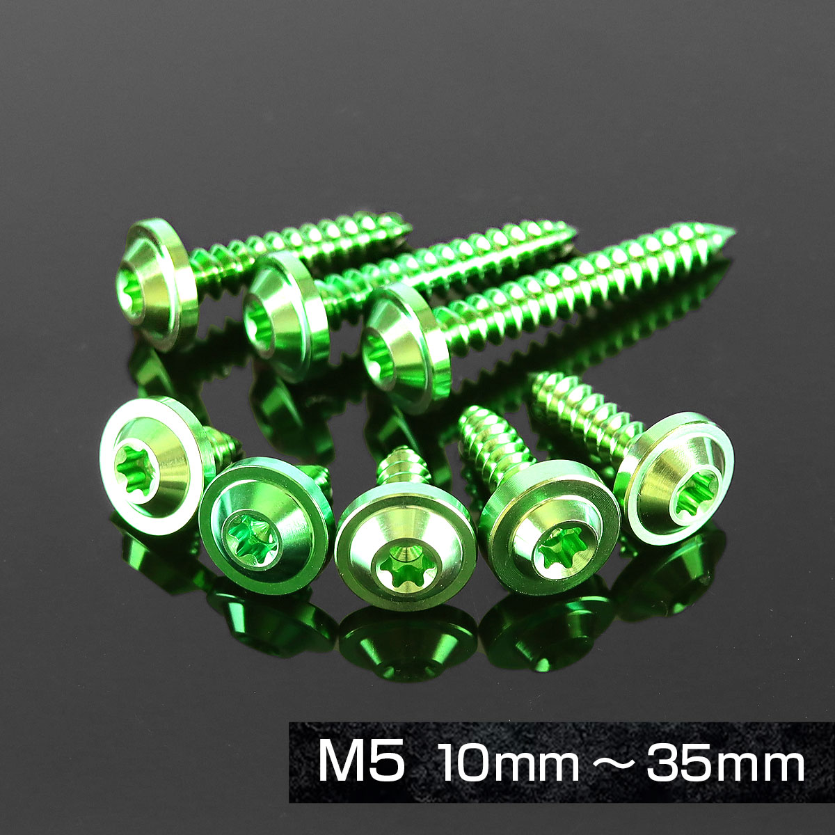 チタンネジ M5×20mm タッピングビス トルクス穴付き レインボー