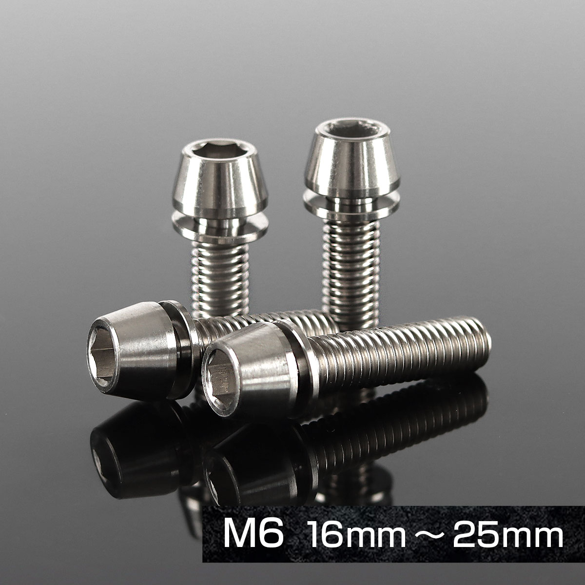 TECHーMASTER（テックマスター） チタンボルト M5×16mm P0.8