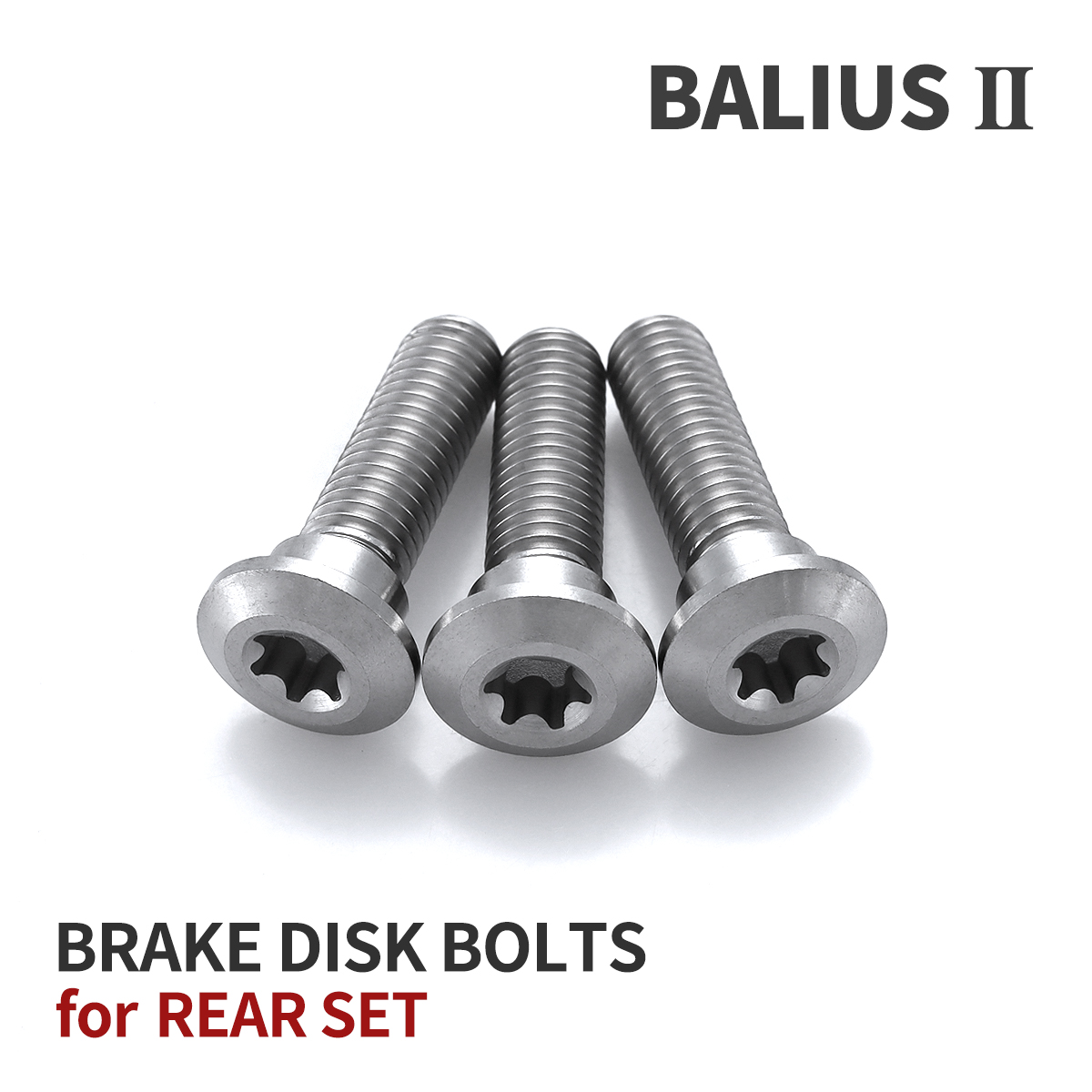 Kawasaki バリオス2後輪用ブレーキディスクとパッド、ナット類のセット TECHーMASTER（テックマスター） BALIUS-II バリオス-2 64チタン