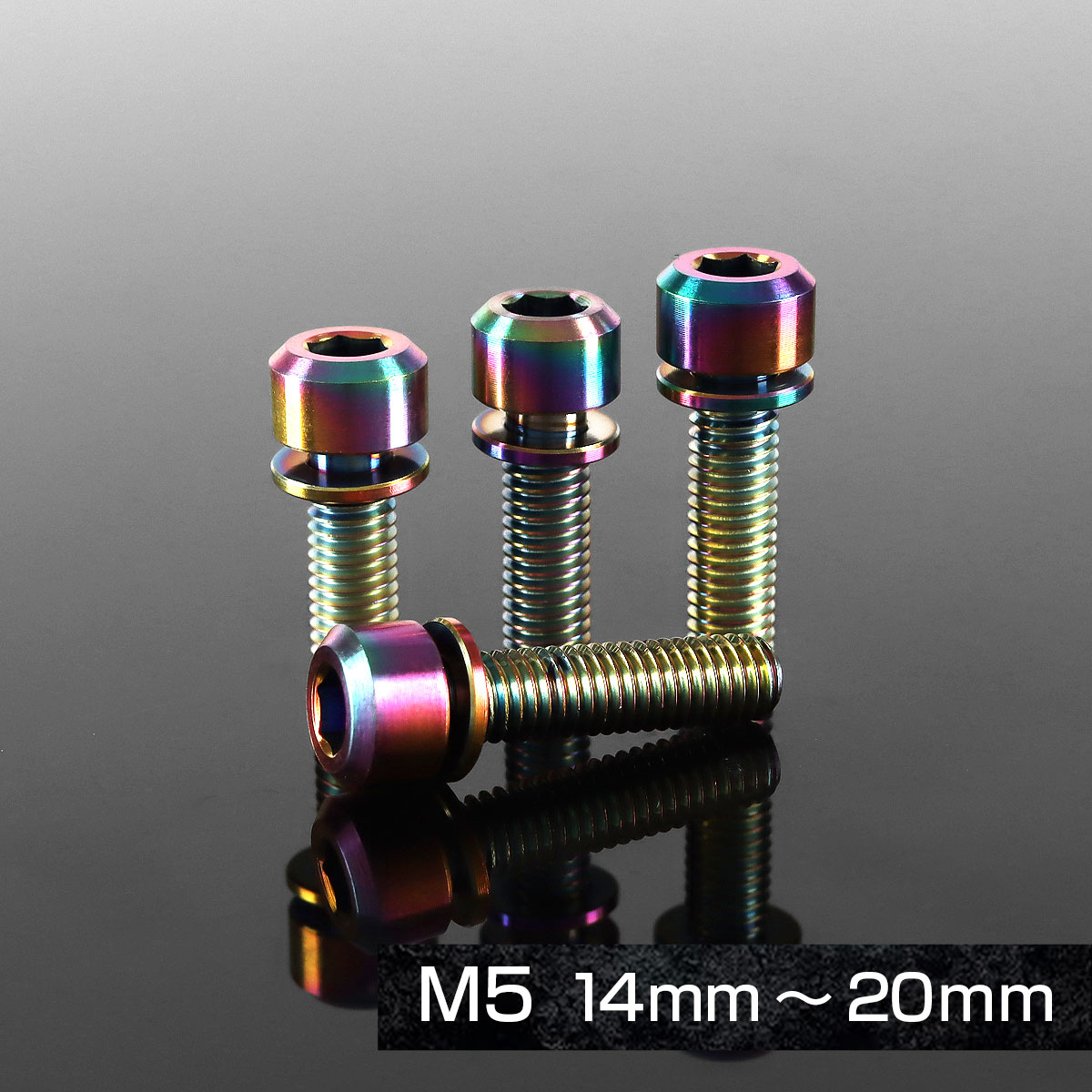 チタンボルト M5×18mm P0.8 ワッシャー組込 ステムボルト 六角穴