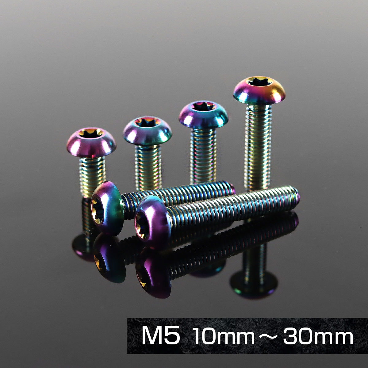 TECHーMASTER（テックマスター） チタンボルト M5×20mm P0.8 トラス