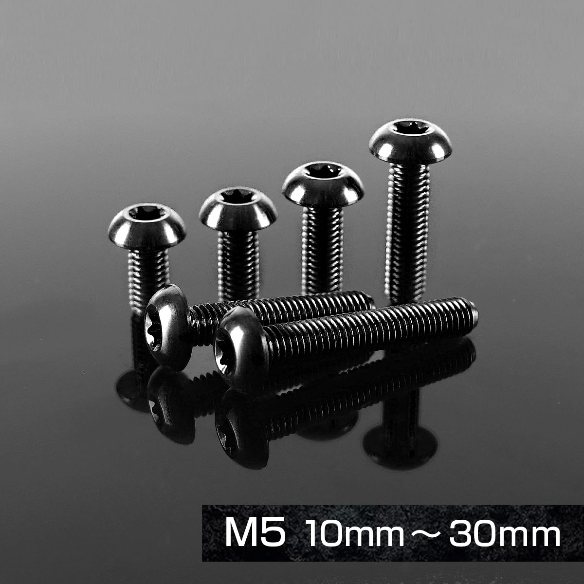 TECHーMASTER（テックマスター） チタンボルト M5×20mm P0.8 トラス