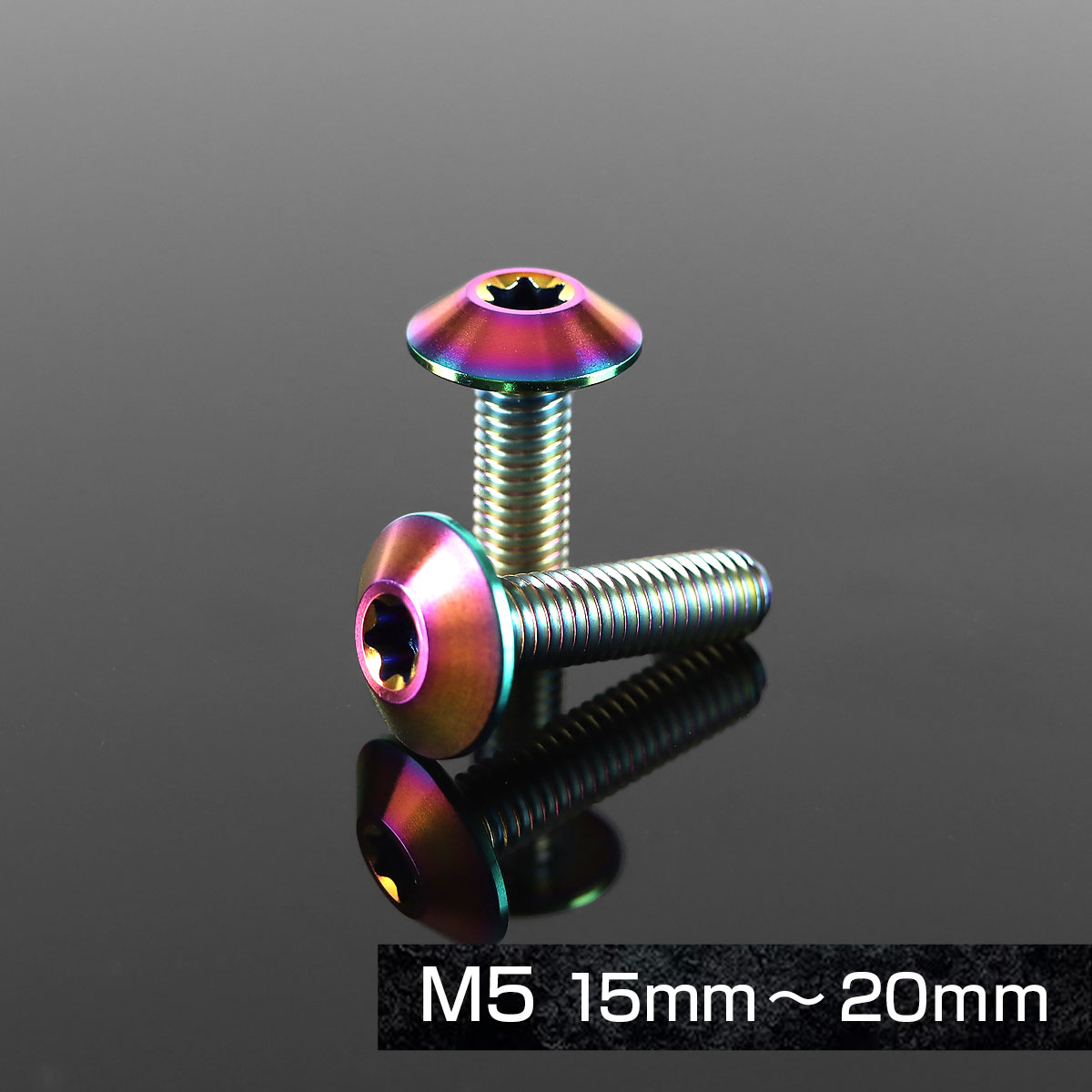 TECHーMASTER（テックマスター） チタンボルト M6×15mm P1.0 テーパー