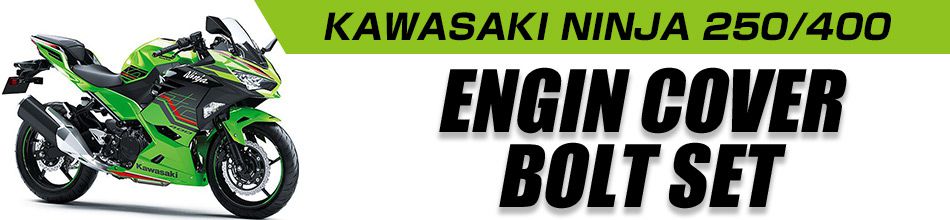 ニンジャ250 13年〜17年 Ninja エンジンカバー クランクケース ボルト 20本セット ステンレス製 カワサキ車用 焼きチタンカラー  TB8353 :TB8353:TECH-MASTER バイクテン - 通販 - Yahoo!ショッピング