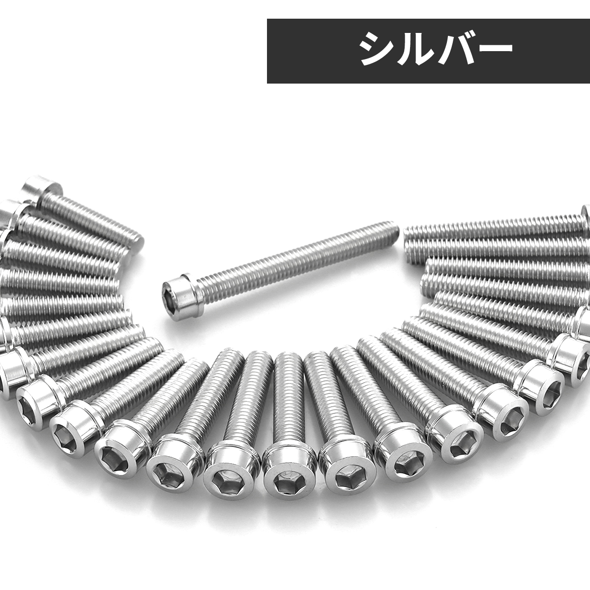 TECHーMASTER エリミネーター/SE エンジンカバー クランクケース