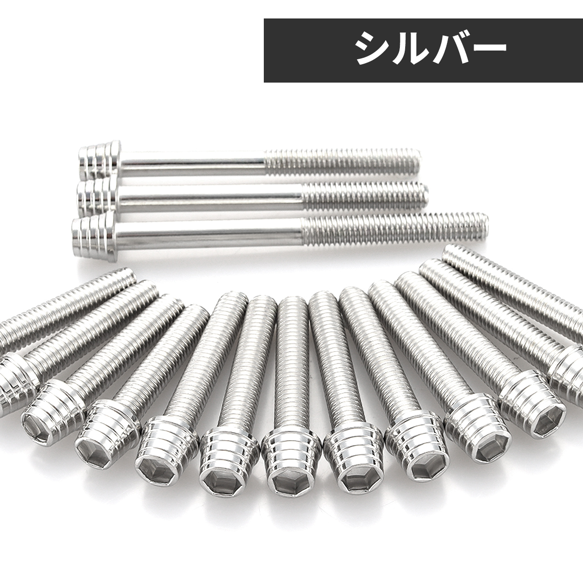 【新品未使用】ワイヤーバッグ　シルバー ホンダ NSR50/80 NS-1 エンジンカバー クランクケース ボルト 16