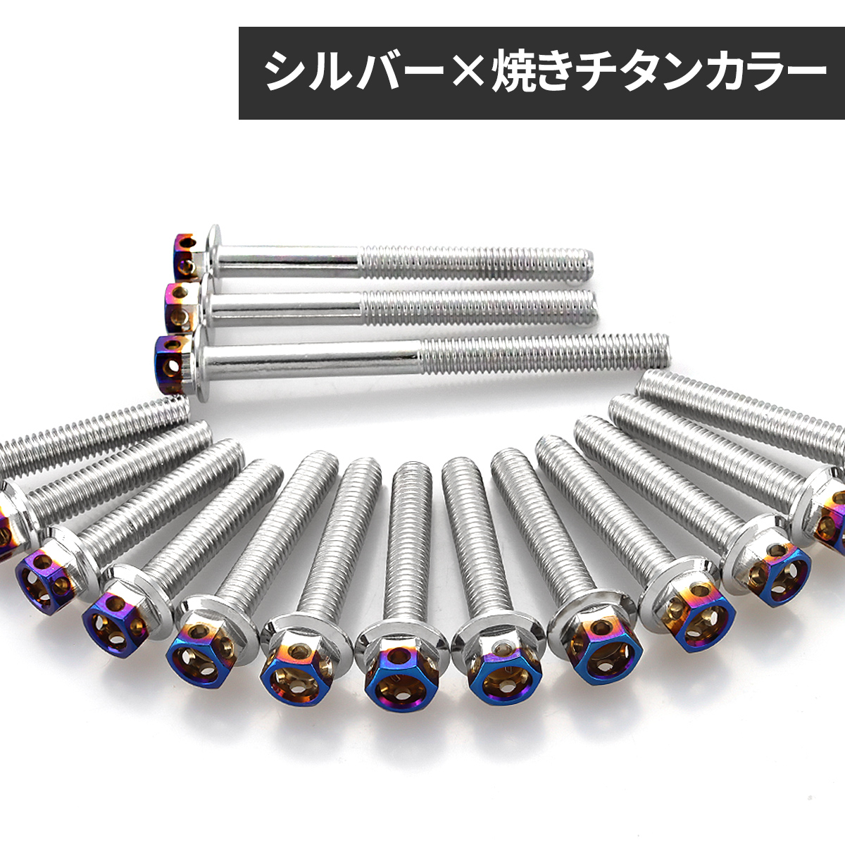 TECHーMASTER（テックマスター） NSR50/80 NS-1 エンジンカバー