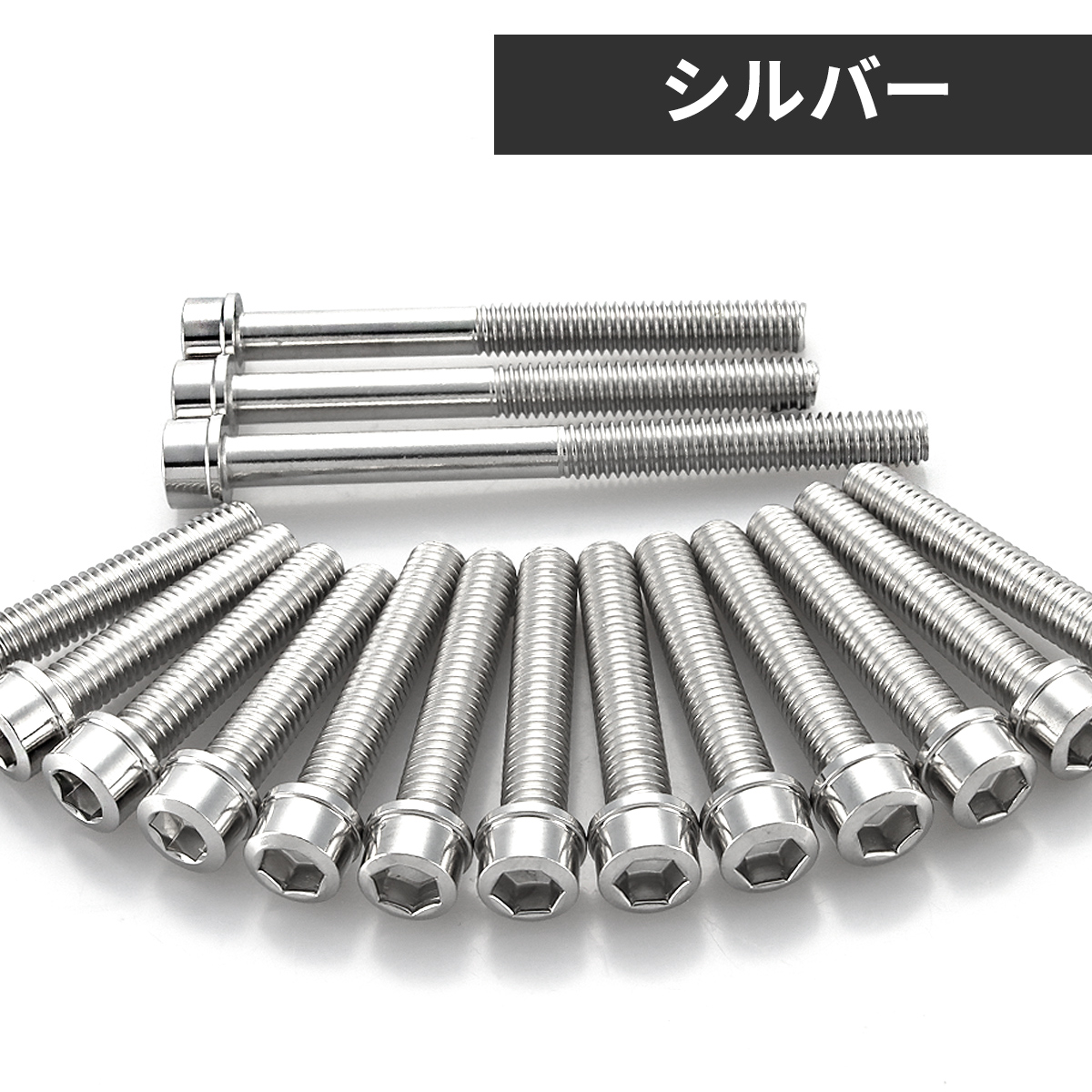 TECHーMASTER（テックマスター） NSR50/80 NS-1 エンジンカバー