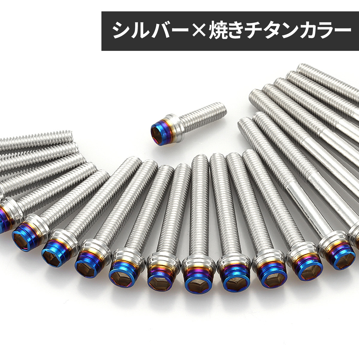 カワサキ ゼファーχ カイ エンジンカバー クランクケース ボルト