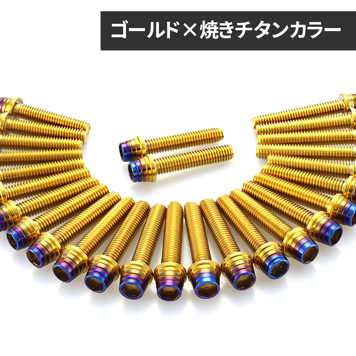 専用品 64-5118-27 散水栓ボックス MSシリーズ MS-22 【AXEL】 アズワン