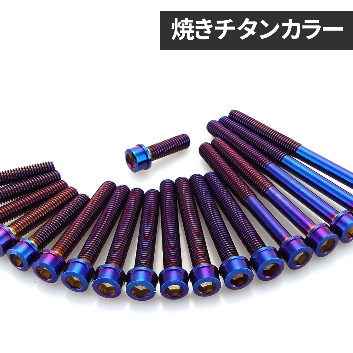 TECHーMASTER ゼファー400 エンジンカバー クランクケース ボルト 19本