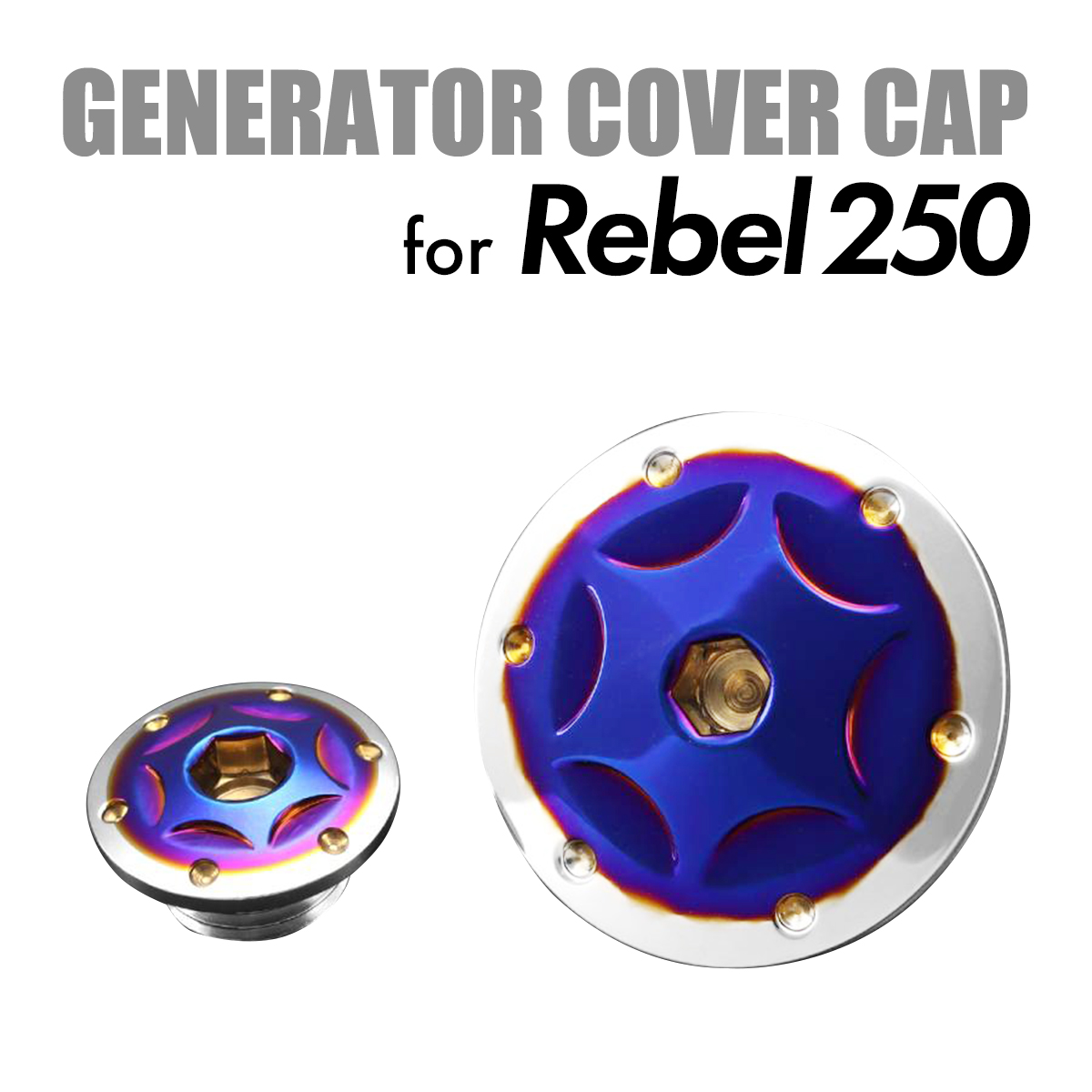 レブル250 REBEL カスタム エンジンカバー キャップ セット ホンダ 焼チタンカラー×シルバー TH0309