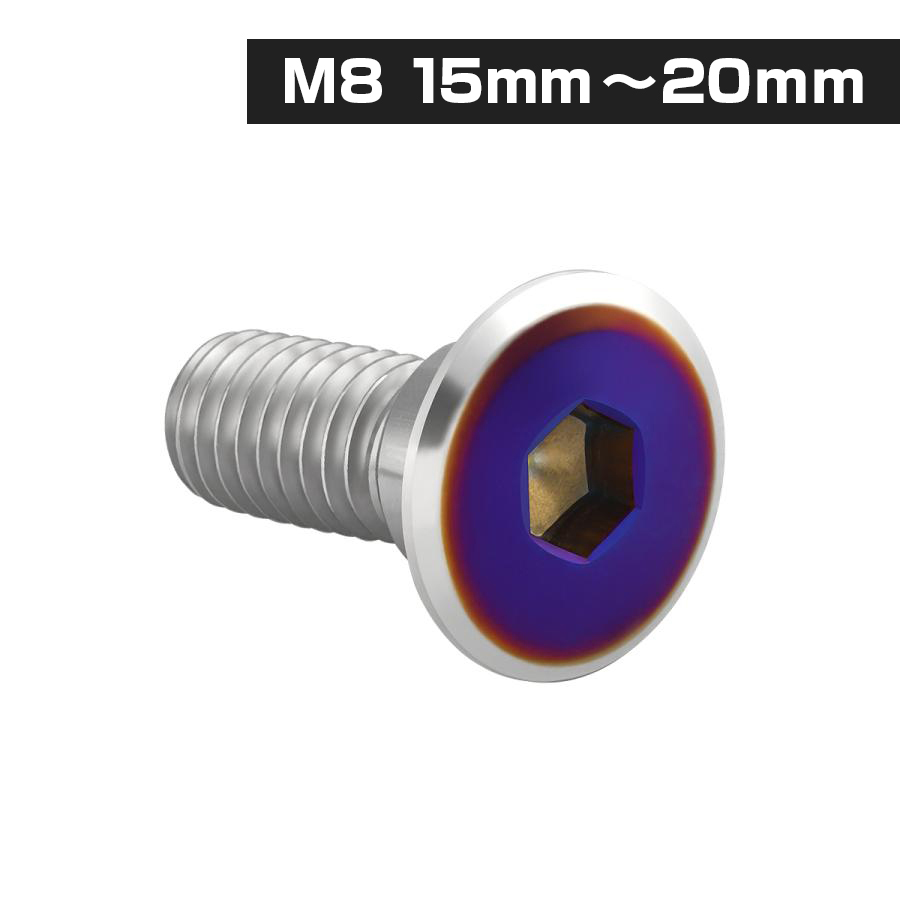 ブレーキディスク ローターボルト M8×20mm P1.25 ホンダ用 フラット