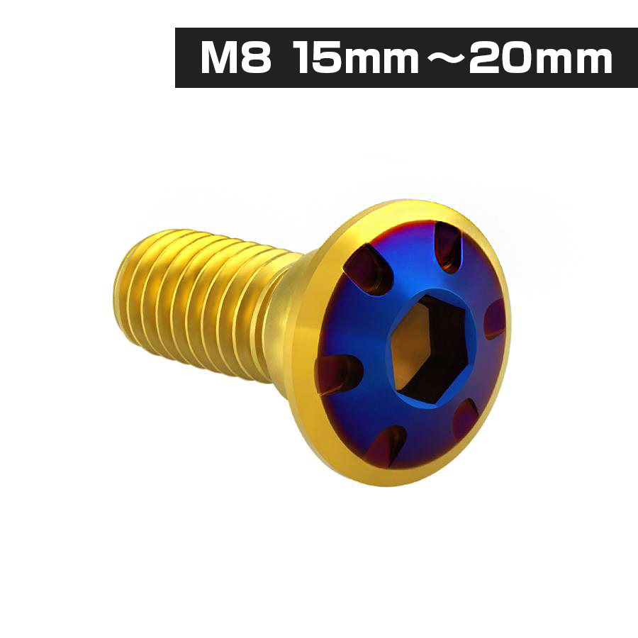ブレーキディスク ローターボルト M8×15mm P1.25 ホンダ用 デザイン